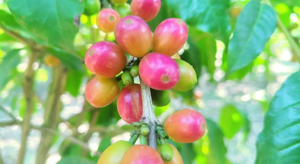 aae7ebd7-18fe-43ea-8b27-3b50e2be2e8e37836