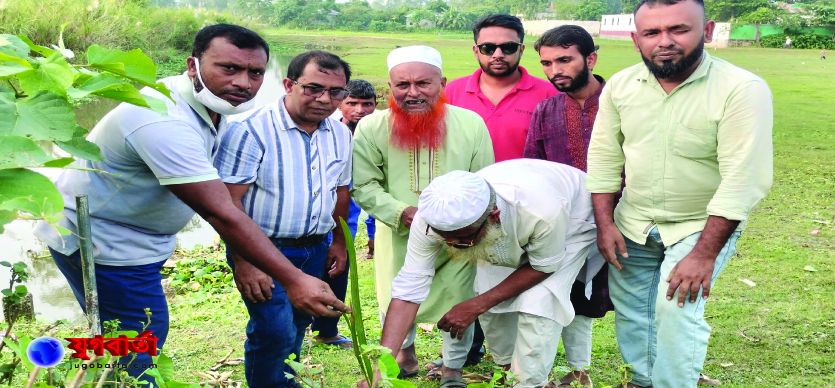 হাওরে গাছের চারা রোপন করেছে খোয়াই রিভার ওয়াটারকিপার ও হাওর রক্ষায় আমরা