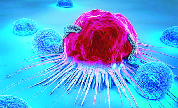 2f28e0b0-c419-4a90-92a1-cccc52c7d93240067