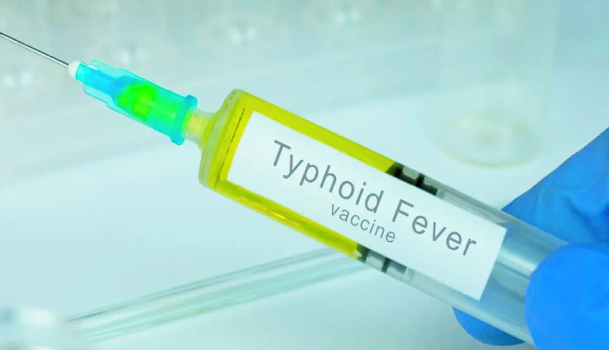 ed0a1a9b-6a31-493d-aba7-206c49d8212e36663