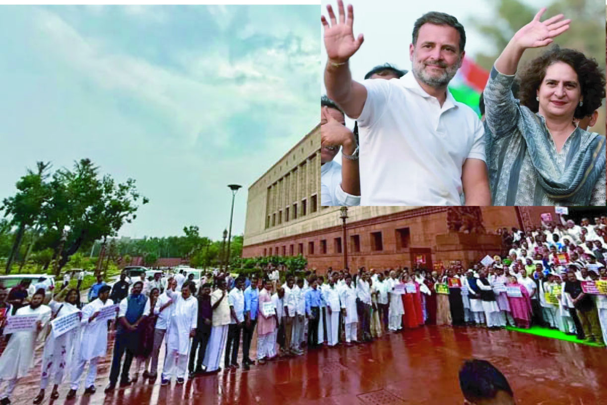 c98a5e83-0a11-48e1-9406-b84b30d63fb335136