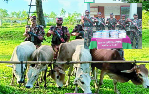 a21bf283-a363-46cb-b8e2-cf3407d097be35795