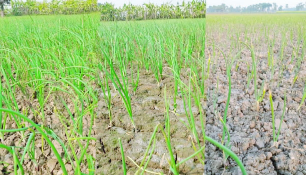 7758b6f7-3f4c-453e-8c9d-b3e743676ffe39022