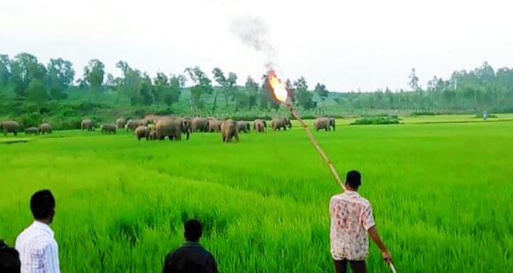 c0b05e86-48cc-429c-8623-eacfe62171f633379