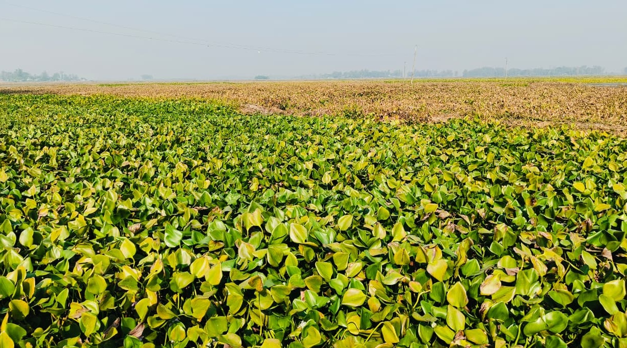 3c47ec3f-4e2e-41f9-ac66-3f889724e4d238395