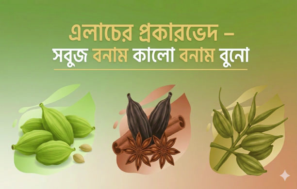 e06ae30e-fddb-4b7f-8839-a8bedd07dcc739998