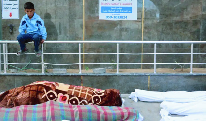 09c5800a-e2ee-4740-bca1-05030eb5dab132833