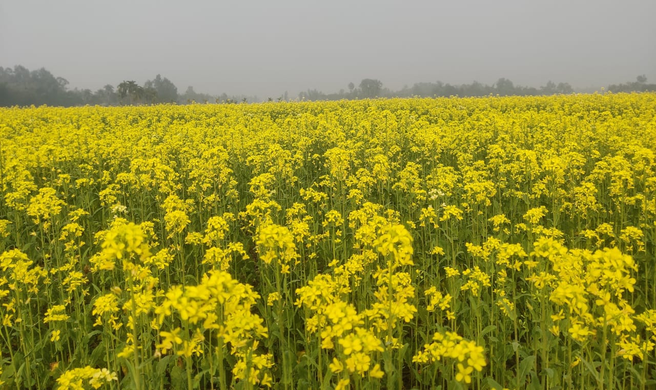 a2b7c633-8157-41c3-a360-6044e5b646ac38803