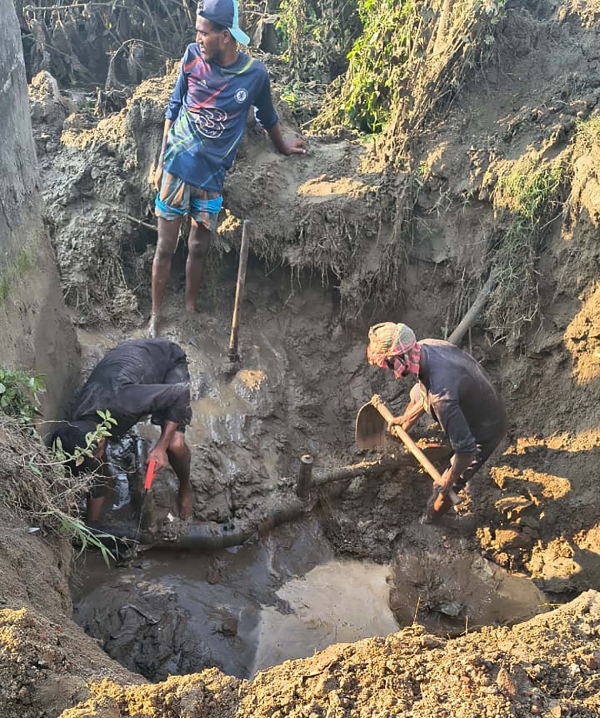 229eeba1-58a2-48a4-8c49-8a3b769dbdda35339