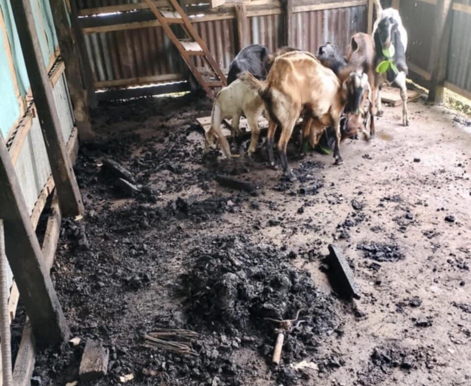 ec7c2e42-bc0e-4193-b1cf-7763a492a5fa34148