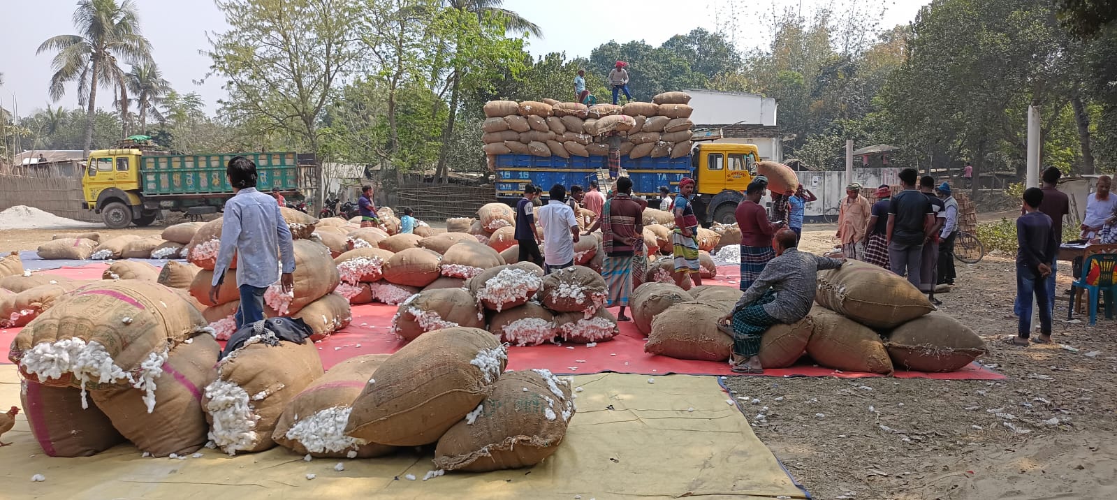 2506e403-327f-4292-87e7-6207dd8faa8639999