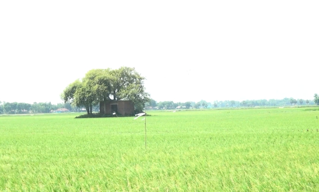 cb23b71f-4353-4b37-8903-4732d9a799fd26302