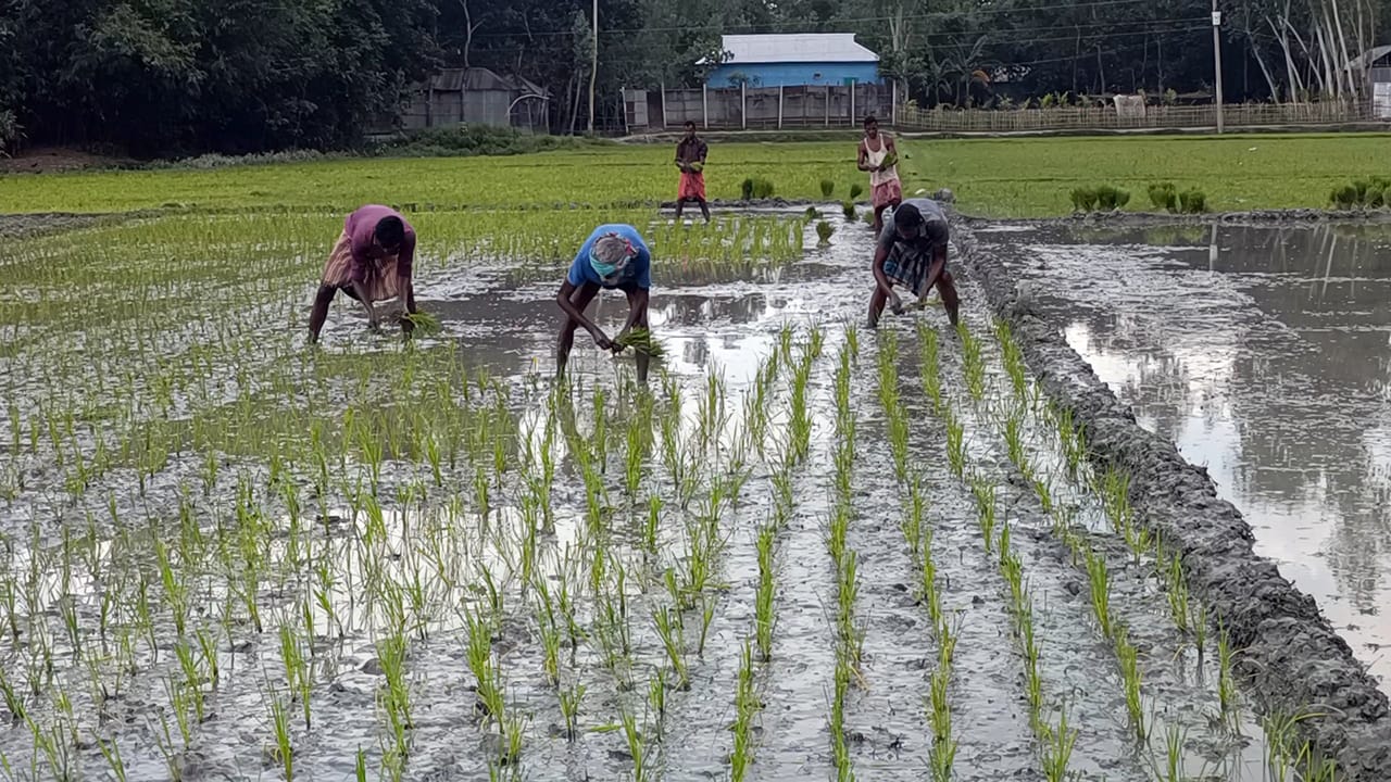 8321b84b-8cf4-47e0-a1ec-4bc56626dc4526596