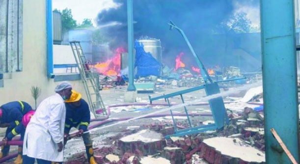 1ddcb6c1-891b-447a-882e-9f134eb06be734160