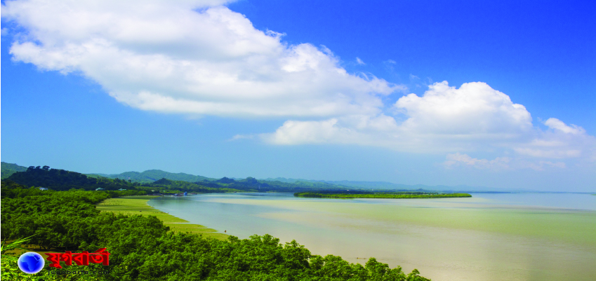 a4b596aa-8fb2-4d81-a78c-a478ce20c37c37217