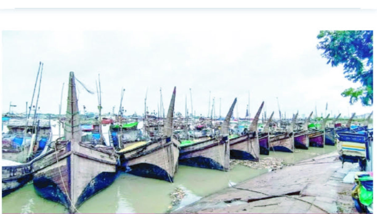 cc855c51-469e-4769-b5fa-9019fd1c69e336655