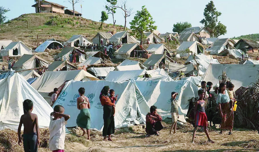 d78541d5-f524-4865-9a16-1fe566f4624531779