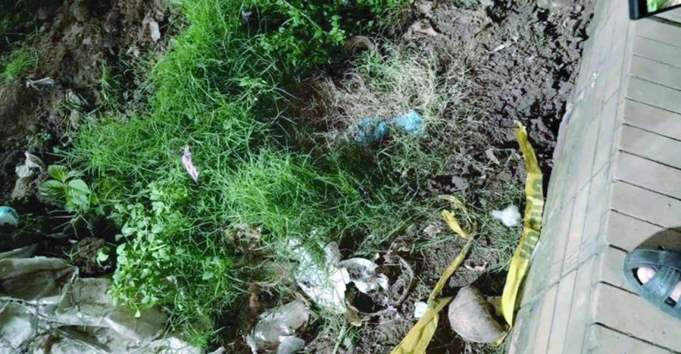 206d6294-fa8f-430c-aea1-0a43745c645f34006