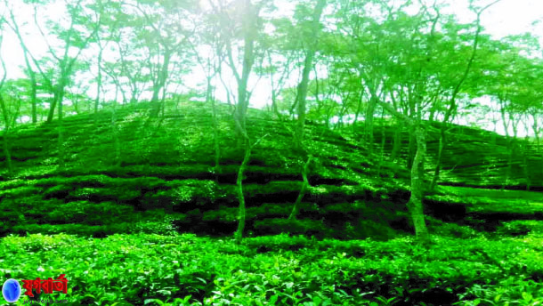 cc034b78-c1a4-4fb1-8dde-6231487ff8bd30783