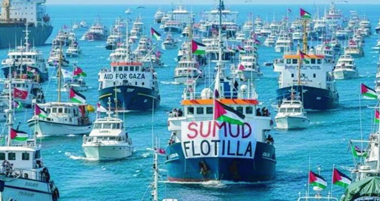 16a01e57-787d-4023-8a82-2009bd2d342136532