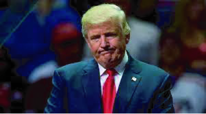 f65b5d43-b1e7-4a21-bae1-60cda3b43e6e33843