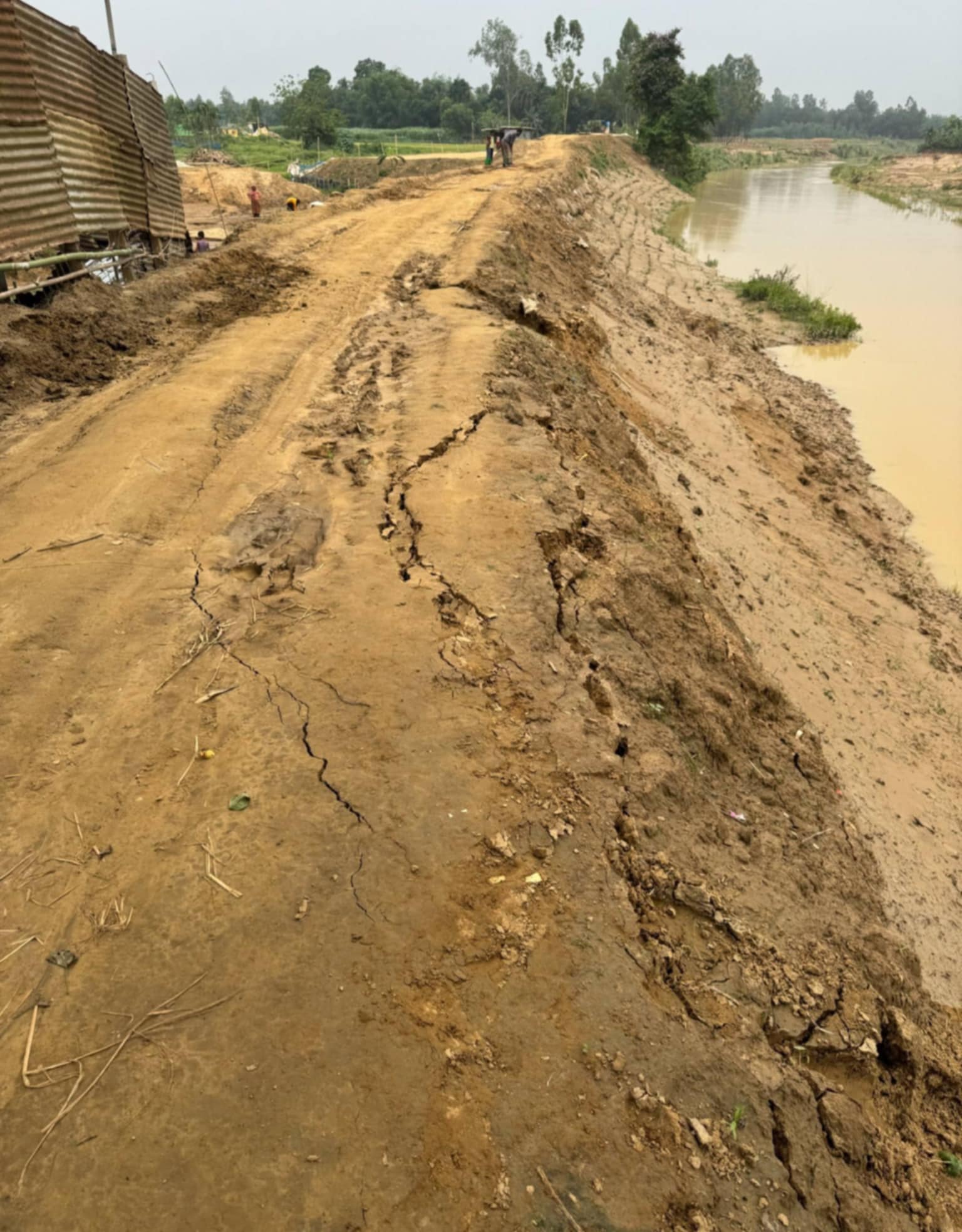 1d4c9efd-4f99-46ff-a65b-fa632416325833225