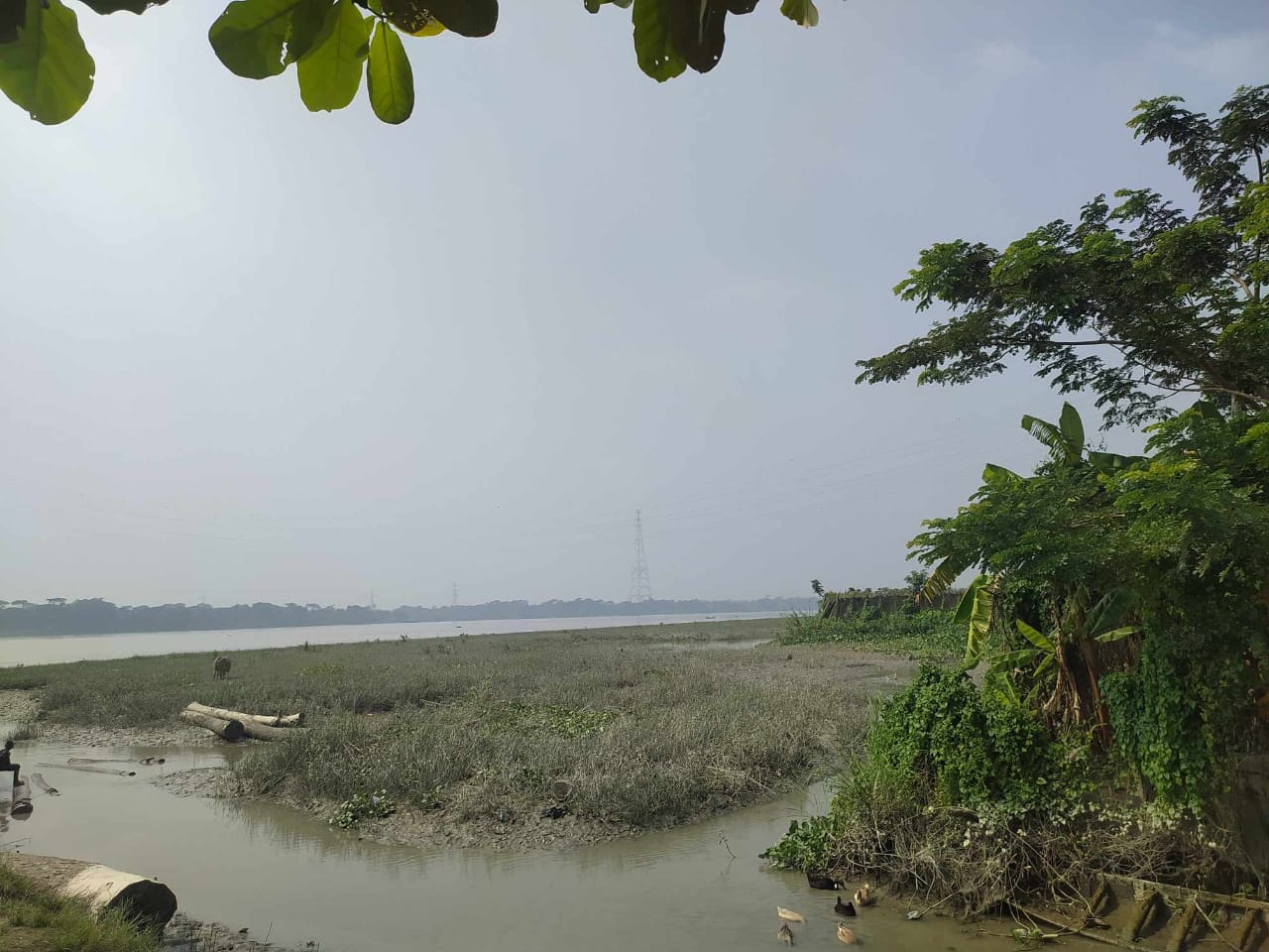 73ea2223-e559-4f70-96dc-521f733b965328674