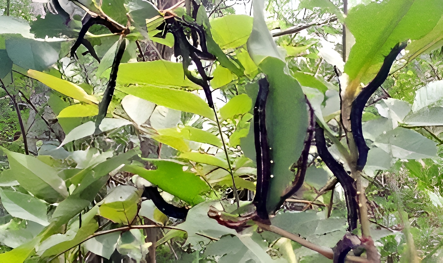 7e5a8424-9278-4832-8792-bb4a88ef0b6c26819