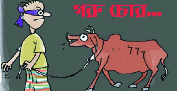 82ef2516-dc68-4381-b573-7514e1a6c61335304