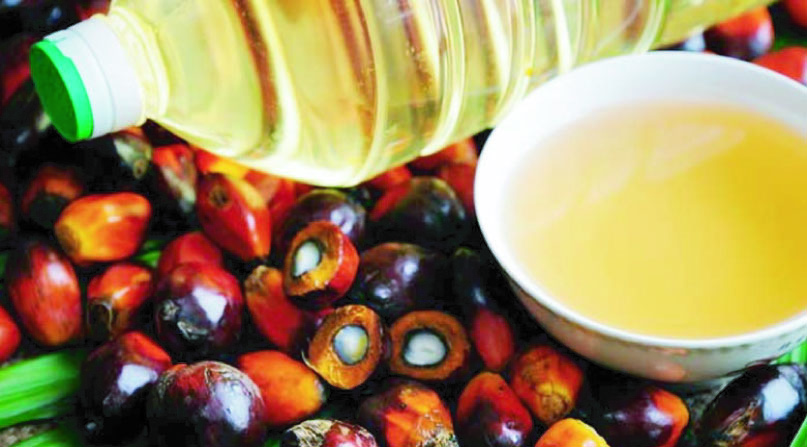 c3aeeade-b92f-4255-8f5c-1a758328945035168