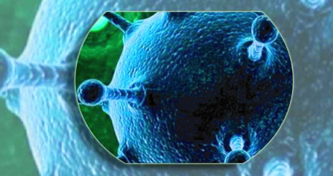 cd558023-0f6a-4d09-9f17-8fbe4f4efe9730356