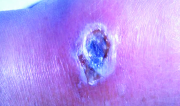 8c465eae-0500-4aef-bed3-4e3d1b422c6c36993