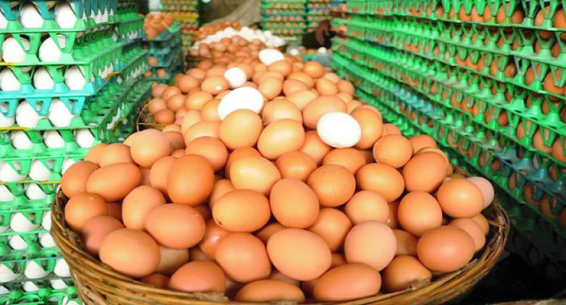 1f23d2b9-8d95-45e3-ad1a-1c5f030ee34836735