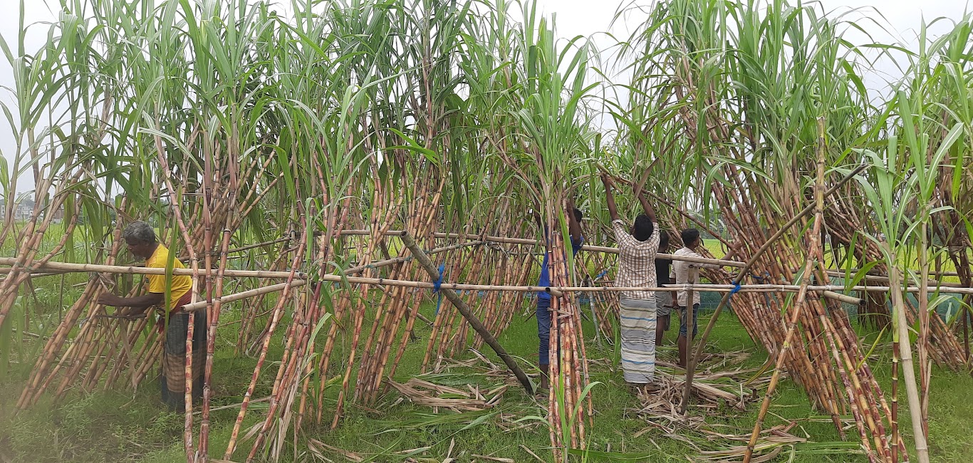 d5e3f799-85e9-4372-9dea-b9d5841f949527666