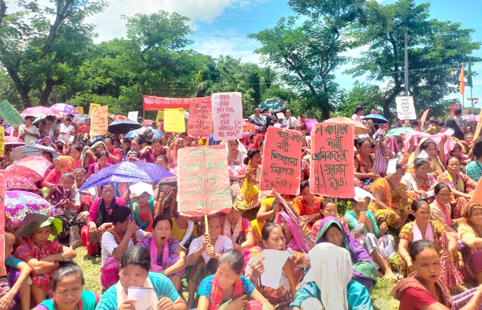 b3b1ba29-6be4-4153-9507-210a425bd22533742