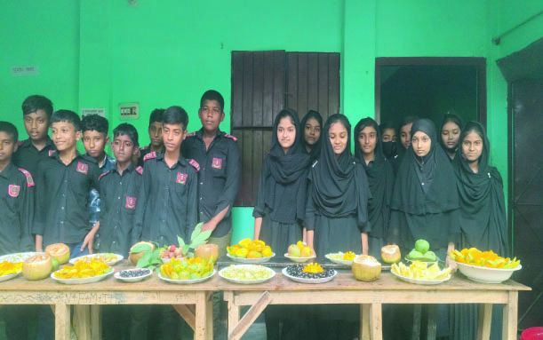 db8d9b01-65ea-4b0f-b117-81835084a83333532