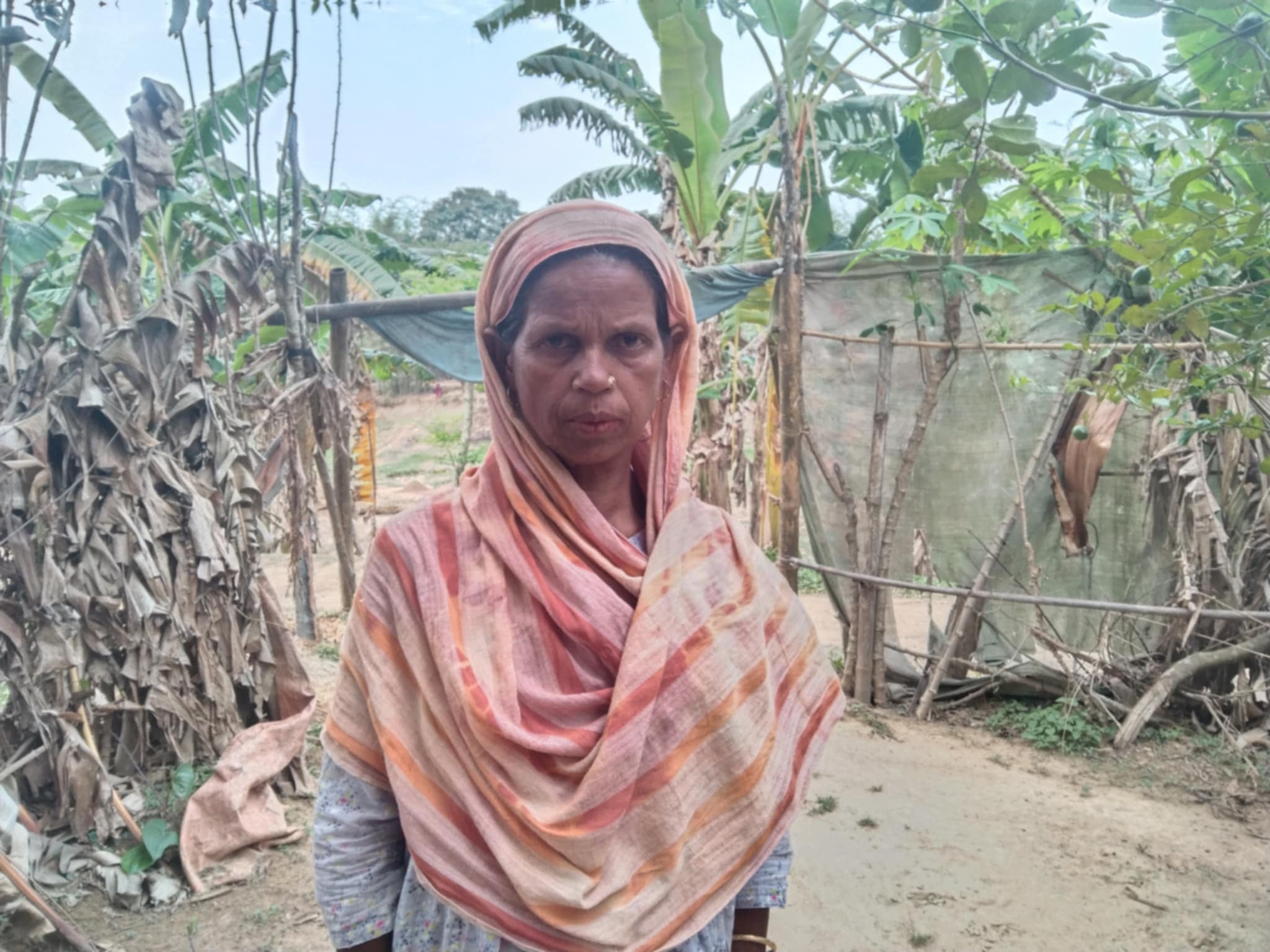 ceb884af-568a-4044-a991-484ed9420b6134096