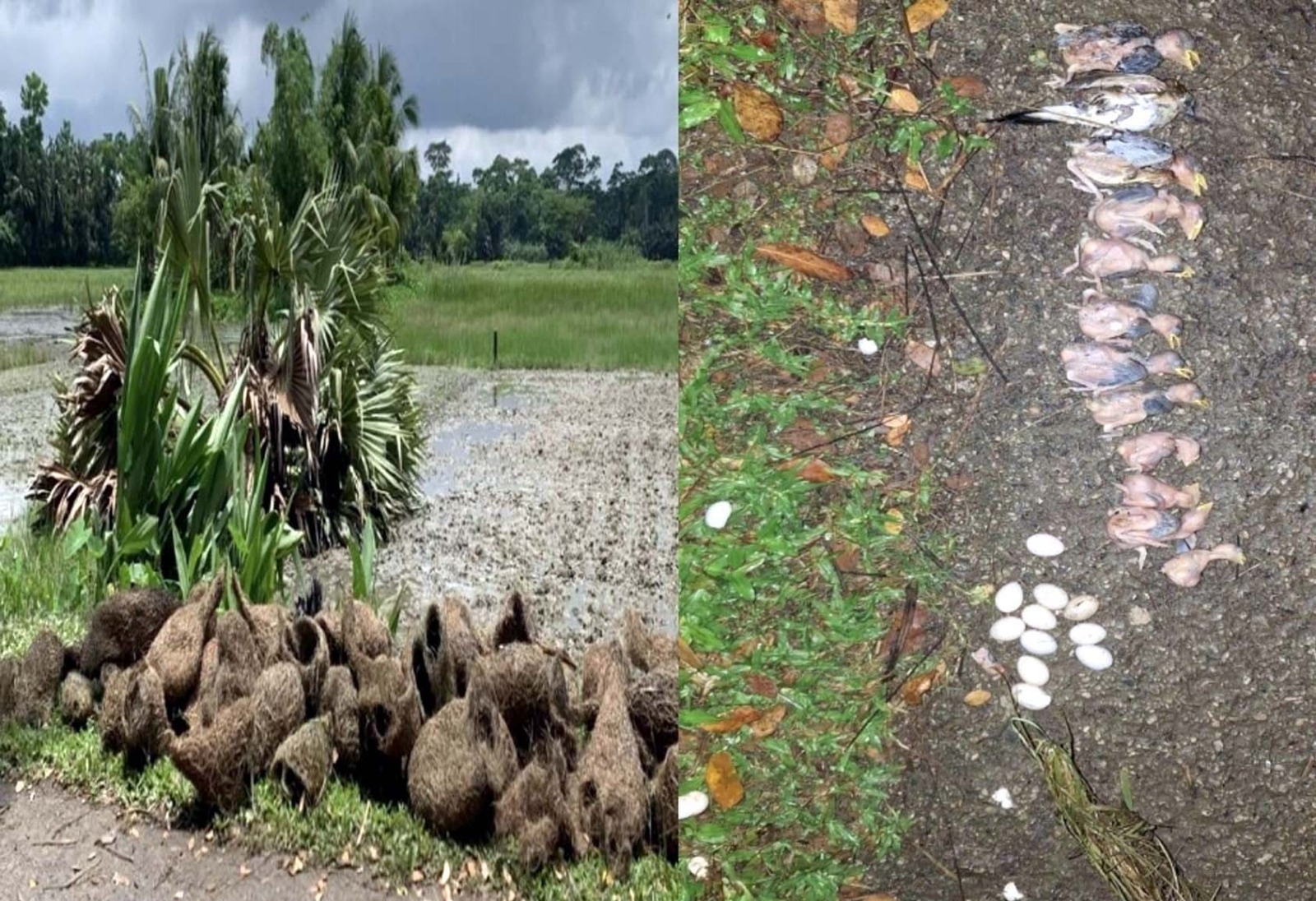 21cfdf61-ed1c-47a8-a67a-1f1a49c5762c34116