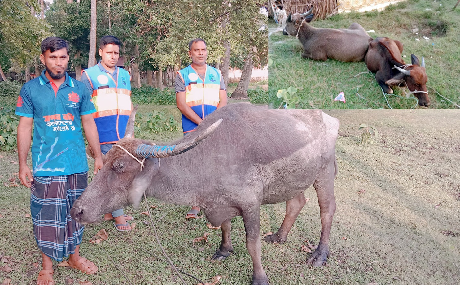 02b7af20-f47b-4854-8e63-8a560ef1060c28214