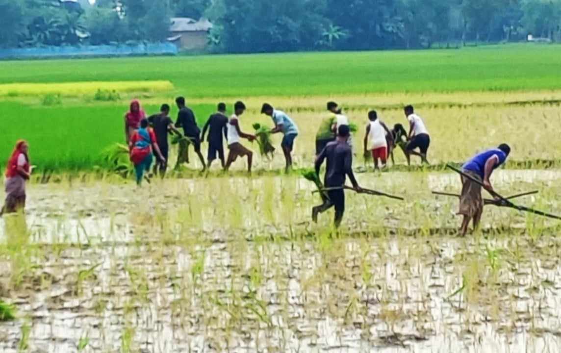 280fb0ec-458c-4f08-b17a-f1d988d736ea26931