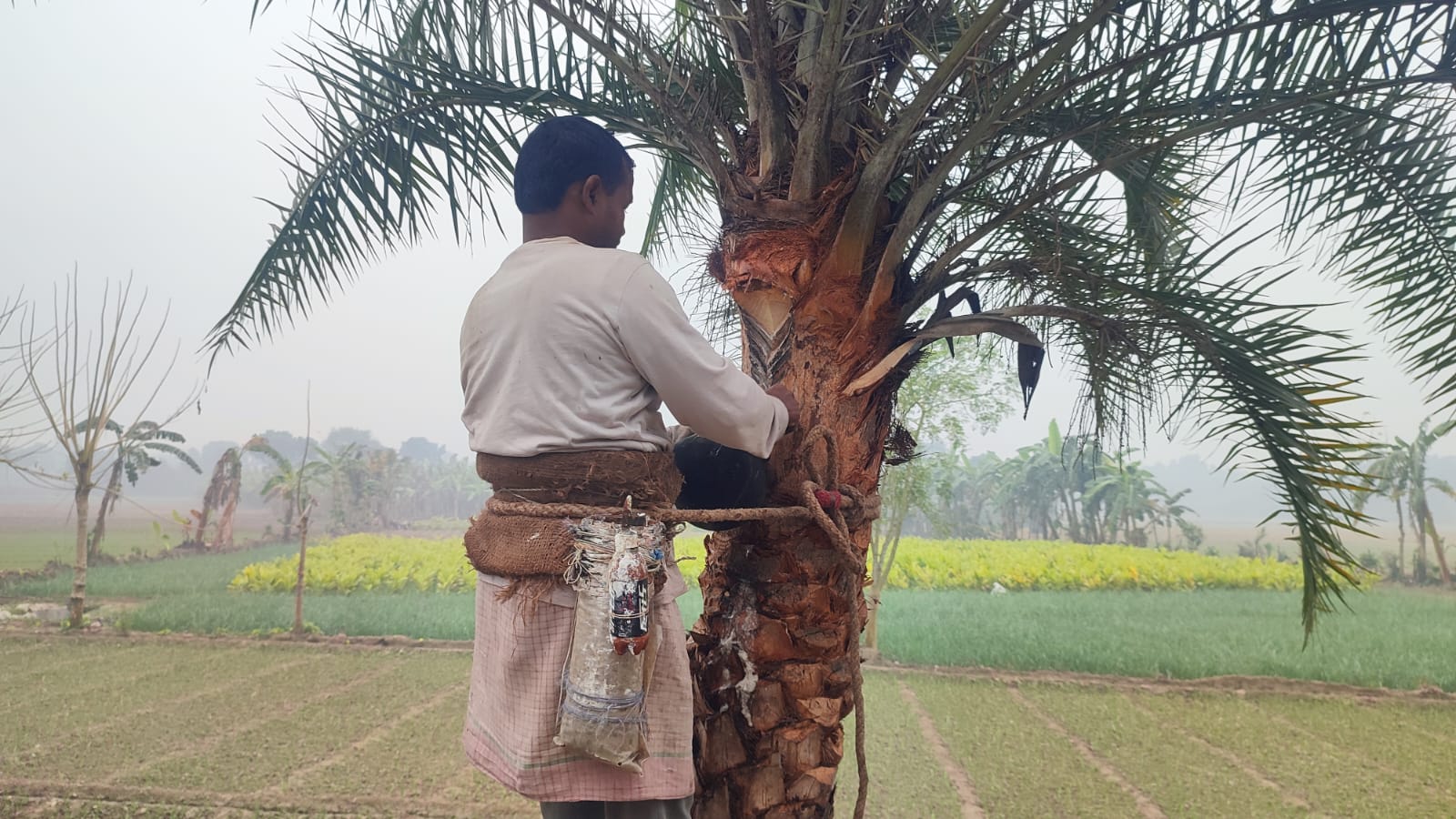 01422e8d-e004-49e4-ad4f-2e4e7e2ad24a29439