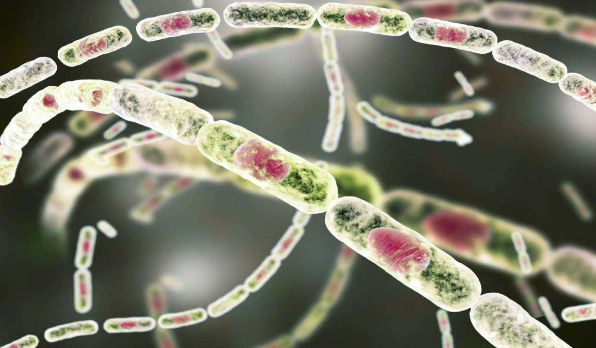 6e1bc18d-90cd-44dc-9366-adc0de4bf3c536595