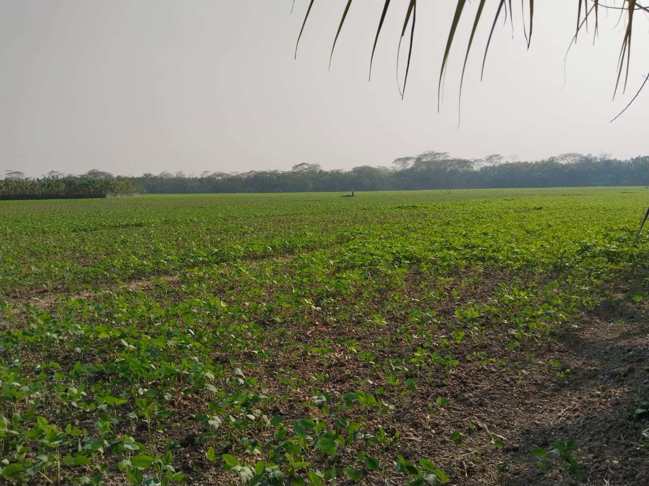 7d650087-6c86-48da-8c3c-4b223648e94f40212