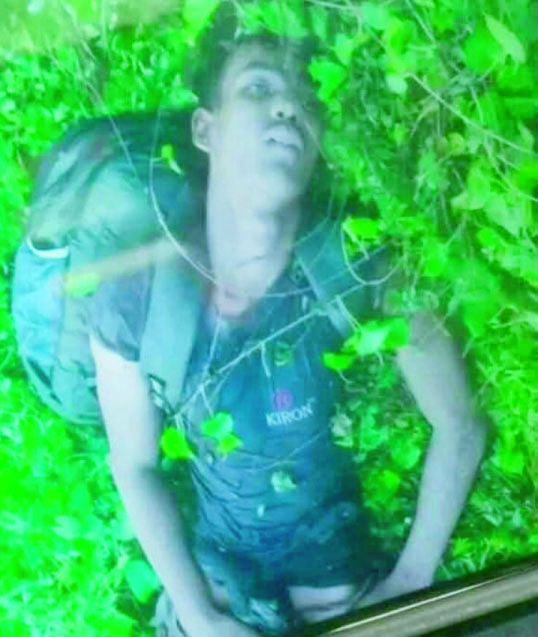 2eac480a-e03a-41a3-8d8c-094ed798486034403