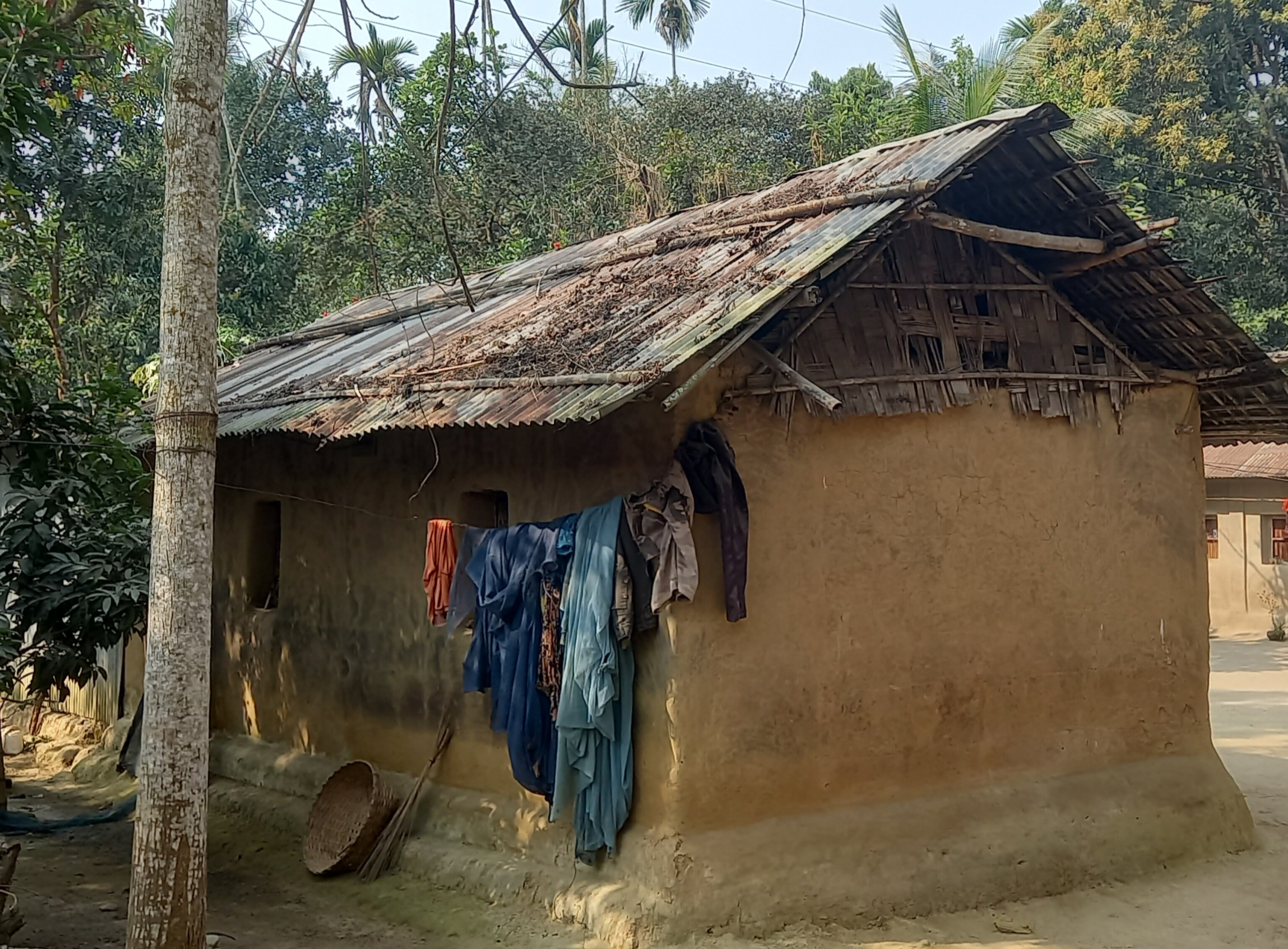 2902e479-edc2-4dbe-b6e8-edab84c333ac31310