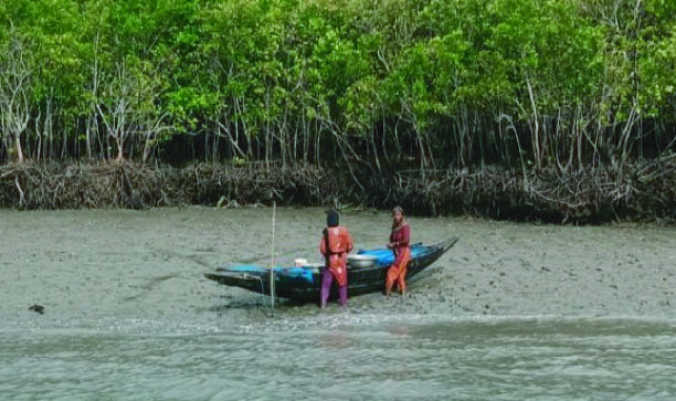 7a50bb05-b77e-4167-80b9-1268e0a8c14336947