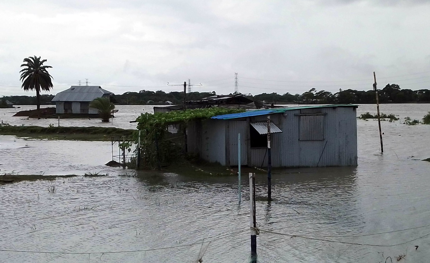 914b2e22-297f-49f6-88e8-6d13e246735134315