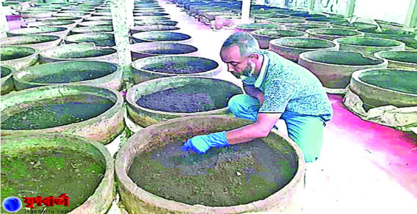 5e1a7b97-9772-4e69-87b4-f6dd7813ab8932342