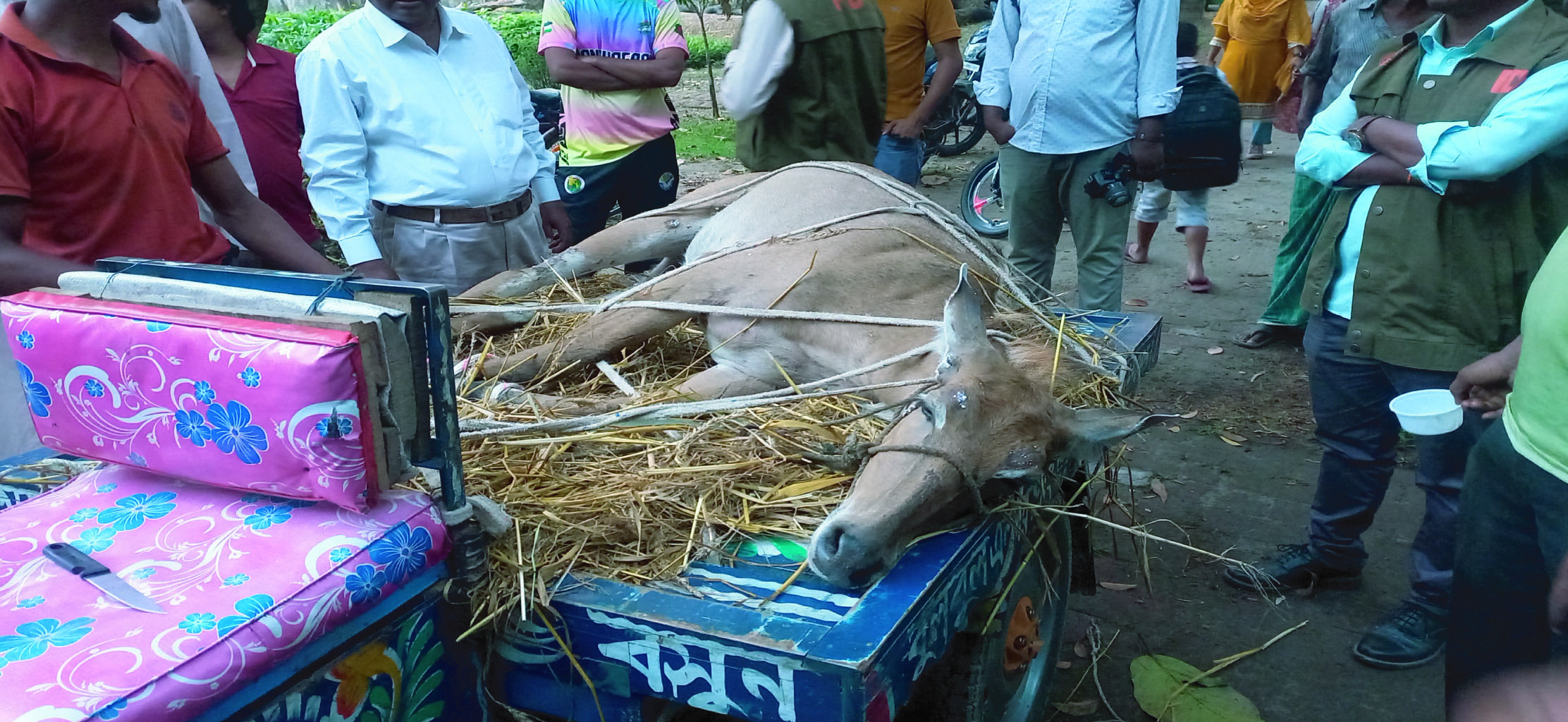 04f71dc4-2ad1-4879-832e-3457fe672a2732301