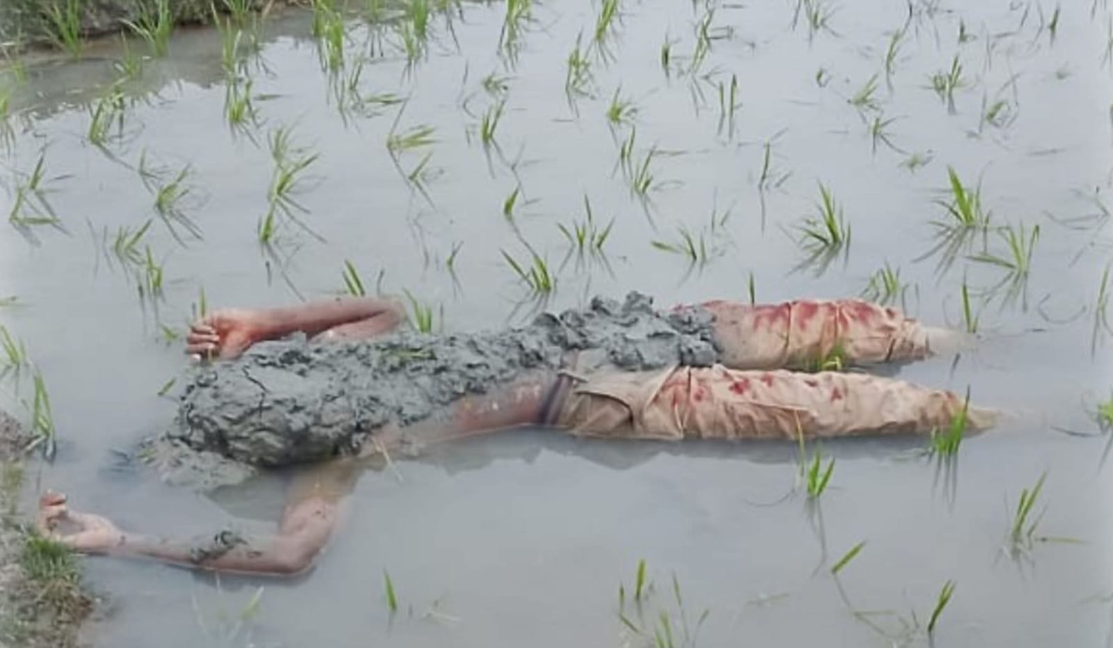 d07c7cab-449f-406b-9e75-10d307c3733338563